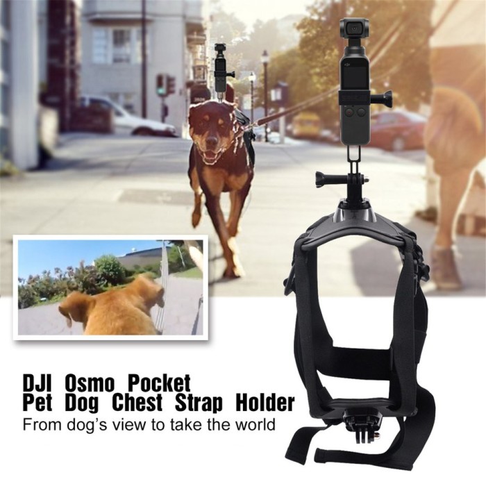 dog holder for chest