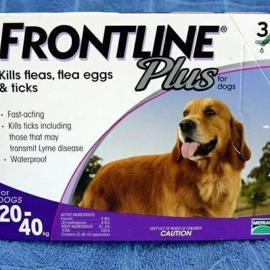 frontline plus 8 month supply