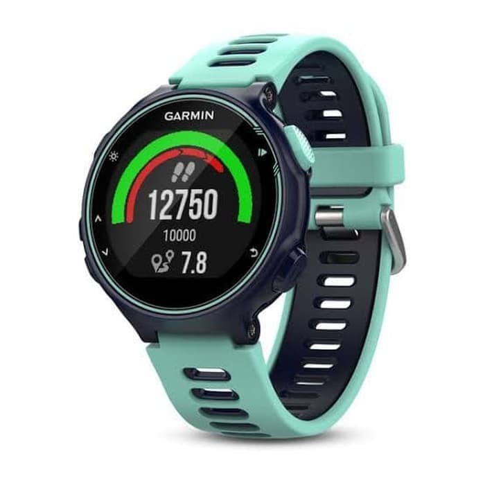 garmin forerunner 395