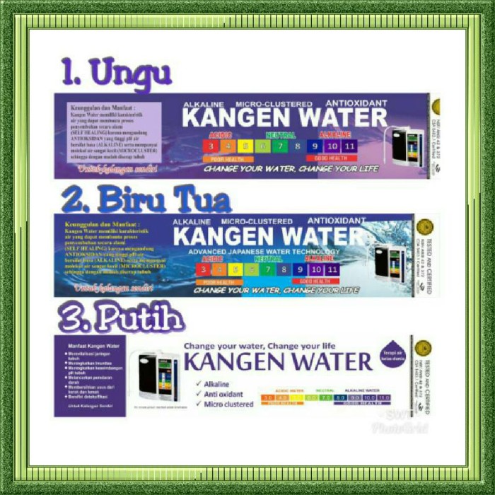 kangen water antioxidant