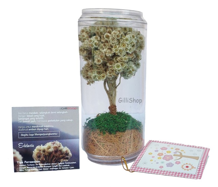 Jual Bunga Edelweis Tabung Last Stok Kab Sragen Depikamaharani Tokopedia