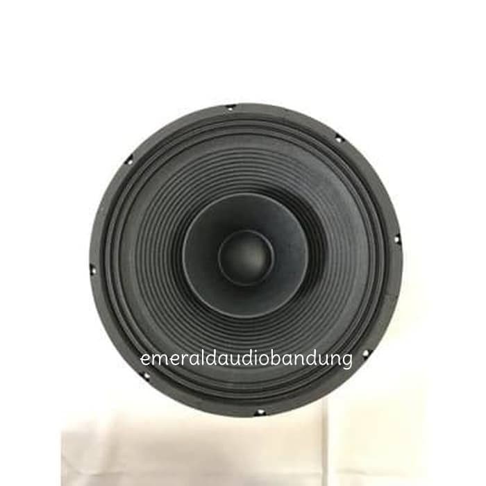 speaker enigma 12 inch