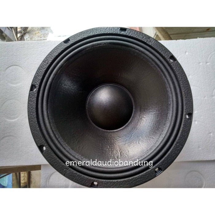 speaker enigma 12 inch