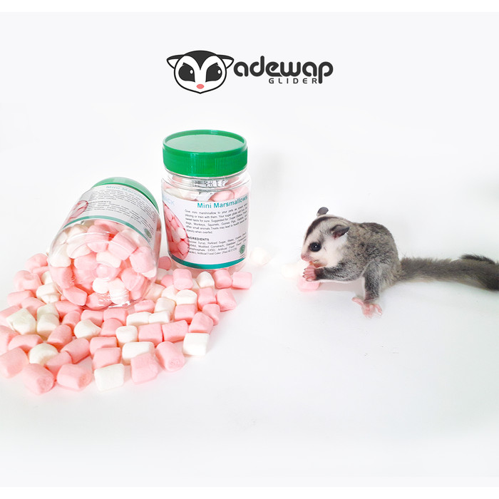 Jual Mini Marshmallow Marshmellow snack favorit sugar glider termurah