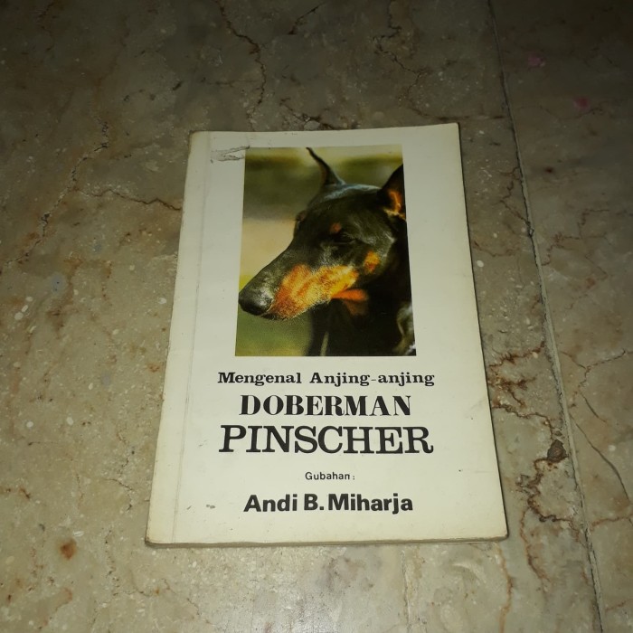 Jual Mengenal Anjing Anjing Doberman Pinscher Jakarta Barat