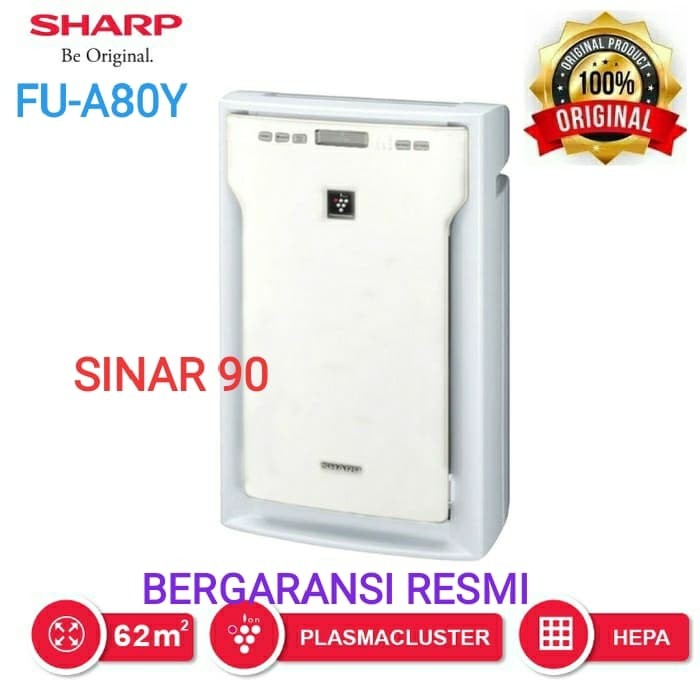 duct air purification system