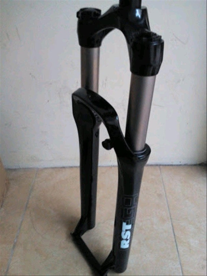 fork rst omega