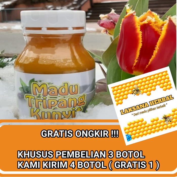 Menilik Khasiat Kunyit Asam Untuk Meredakan Penyakit Alodokter Menilik Khasiat Kunyit Asam Untuk Meredakan Penyakit Alodokter