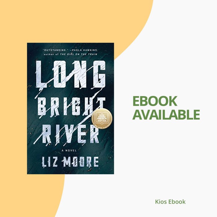 Get e-book Long bright river For Free