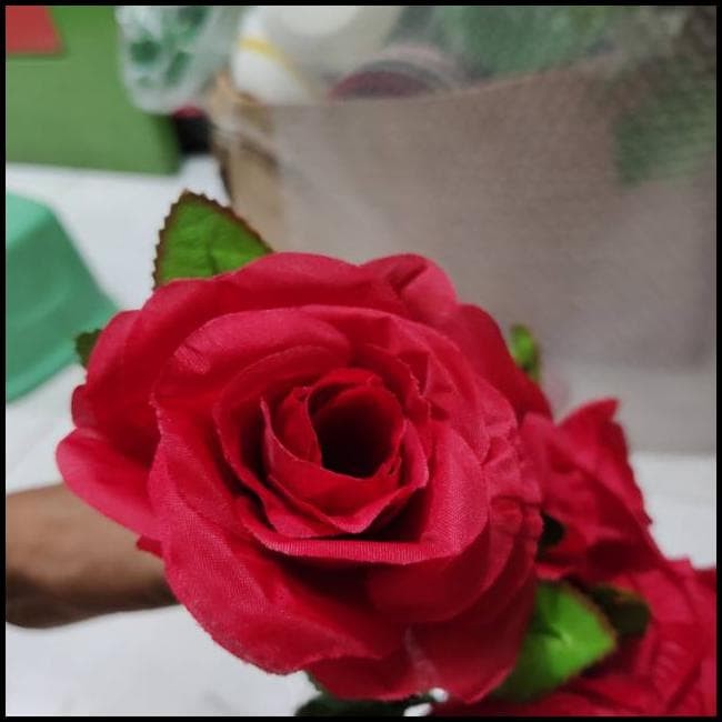 Electroon Rose Dr 8070 Full Hd Uydu Kumanda Fiyati