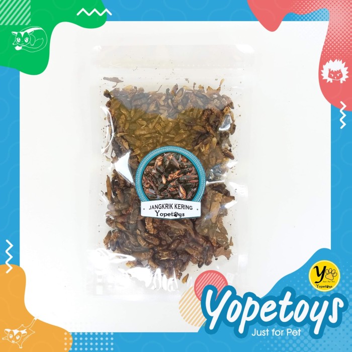 Jual Jangkrik Kering Makanan Hewan Peliharaan Makanan Sugar Glider