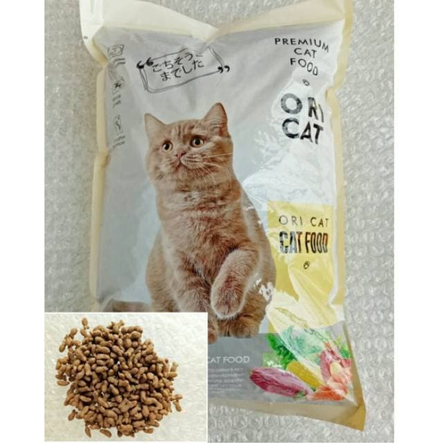 kibble kitten food