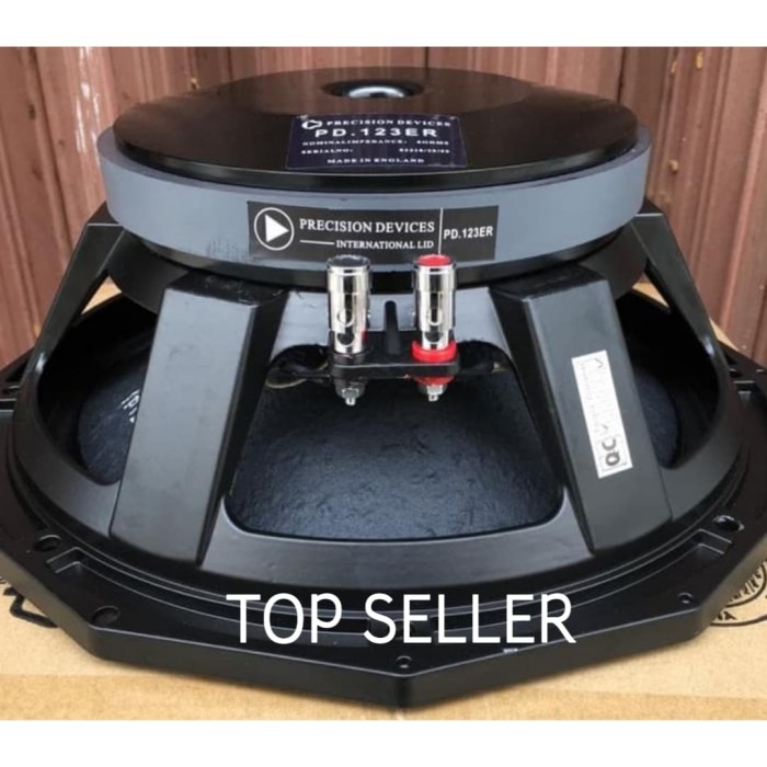 speaker pd 12 inch
