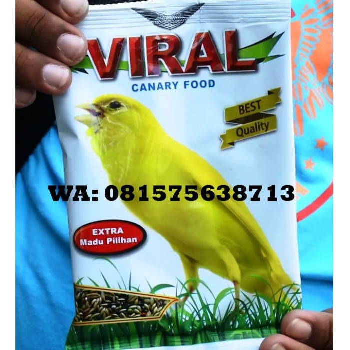 Jual Viral Pakan Burung Kenari Kab Blora Pedagang Tulen