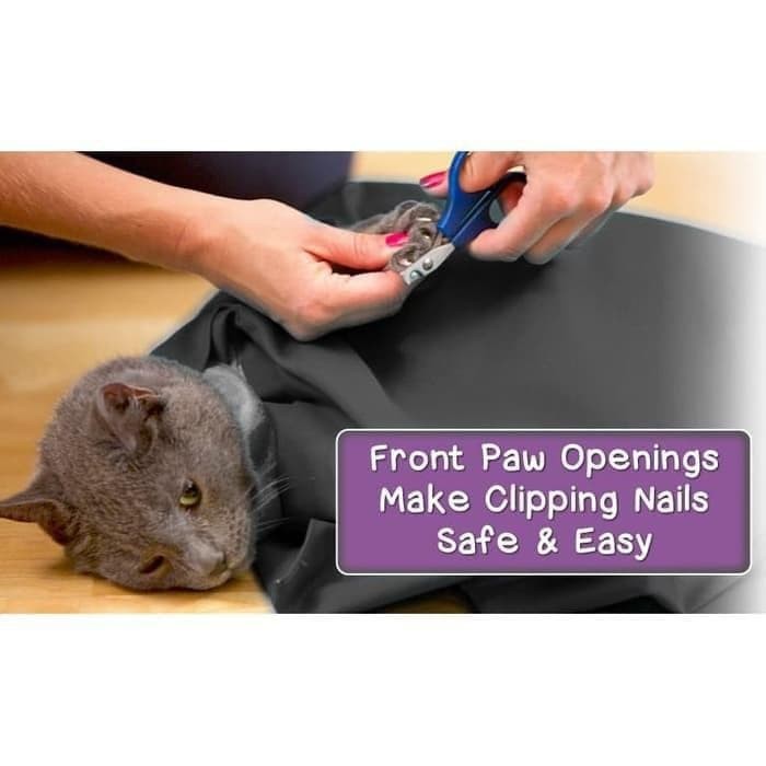 cat pouch pet carrier