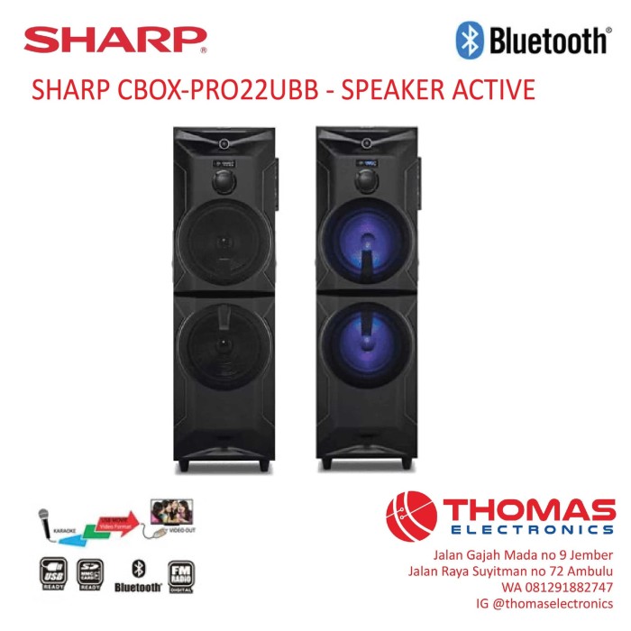 Speaker Aktif Sharp CBOX-PRO22UBB