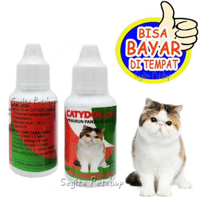Jual OBAT PANAS KUCING DEMAM KITTEN CATYDOL CAT  Kab. Tangerang