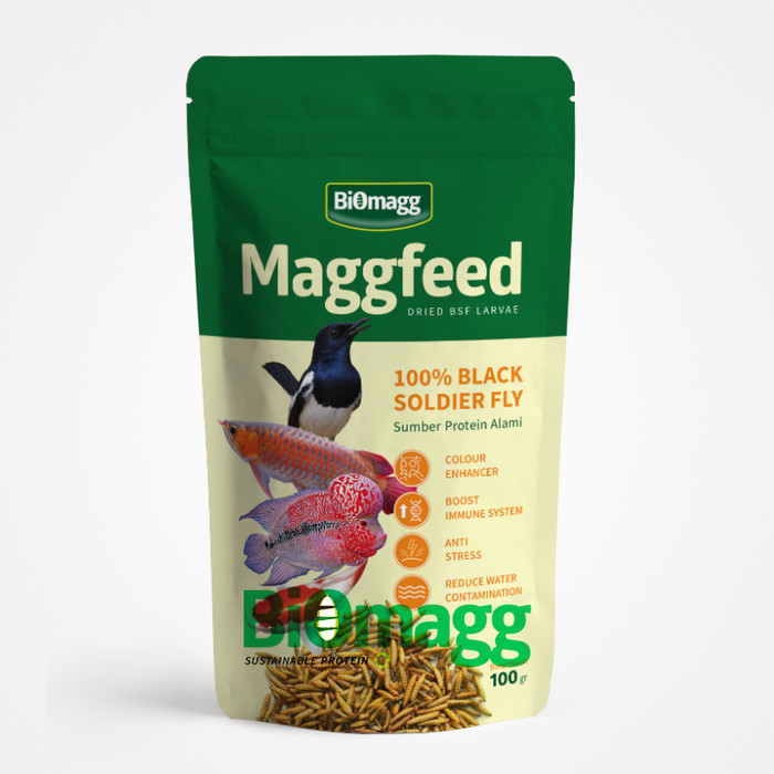 Jual Maggfeed MAGGOT KERING BSF (PAKAN TERNAK PELIHARAAN