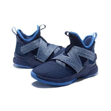 lebron james 12