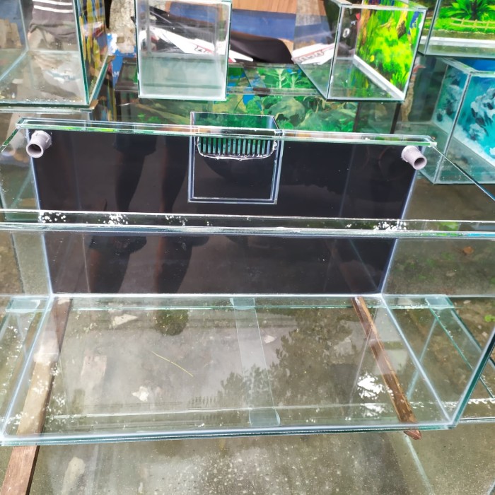Get Wallpaper Jual Aquarium Laut Box Overflow Jakarta Barat Gragonfish For iPhone