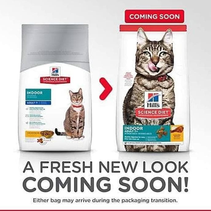makanan kucing science diet