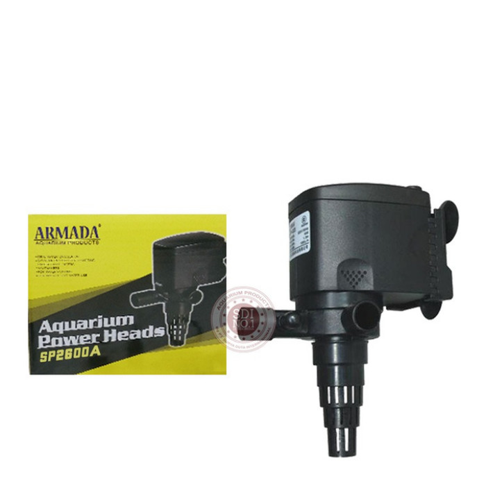 black and tan setter