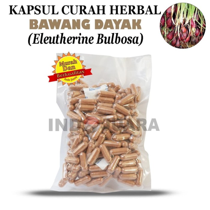 Jual BAWANG DAYAK Kapsul Curah Herbal 600mg Bisul Diabetes