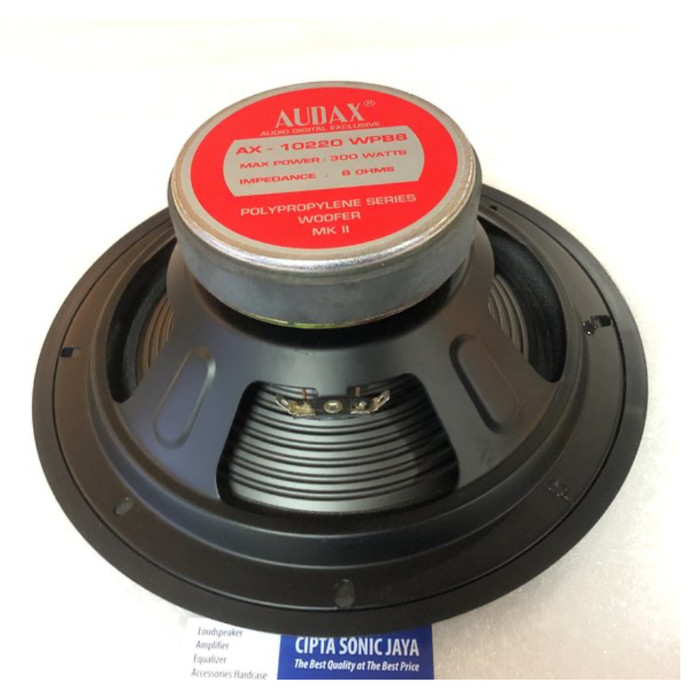 speaker 10 inch audax