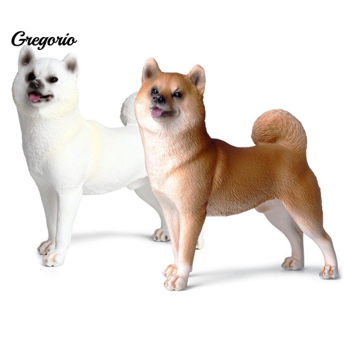 shiba inu jual