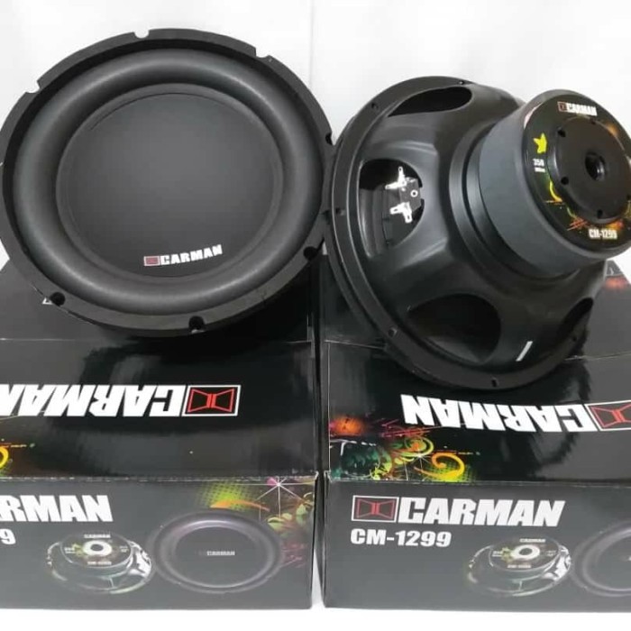 subwoofer carman 10 inch