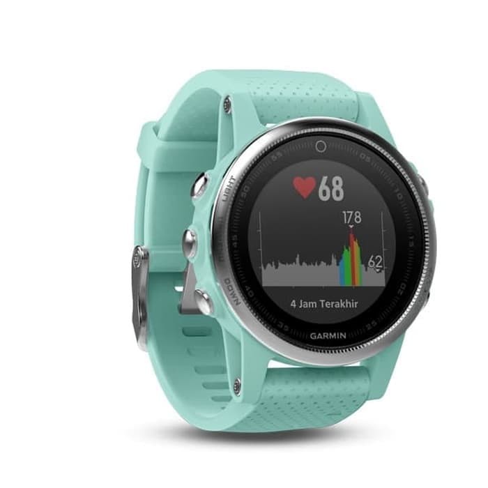 garmin fenix 5s blue