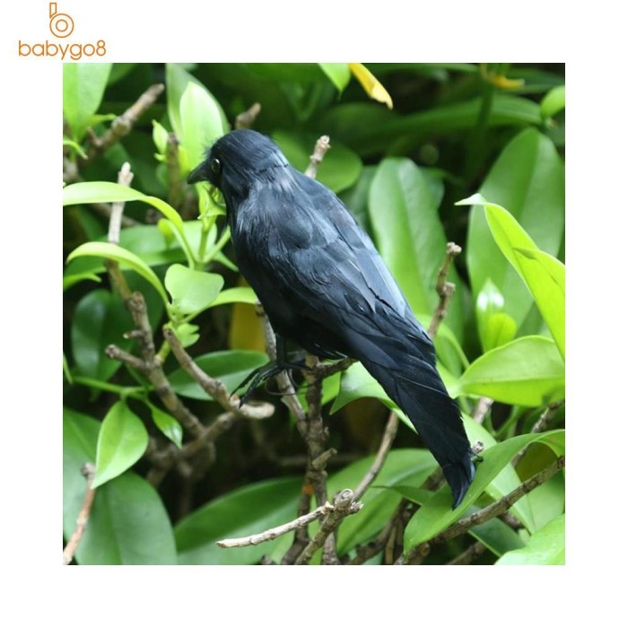 Jual Raven Display Burung Gagak Warna Hitam Untuk Dekorasi Halloween Jakarta Pusat Dedek Fatin Store Tokopedia