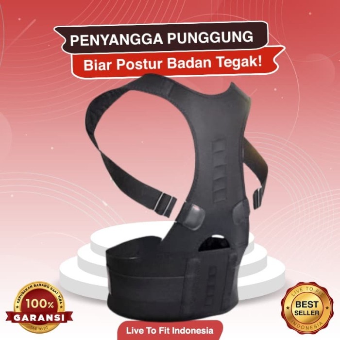 Jual Penyangga Punggung Korset Penegak Badan Shoulder Back  