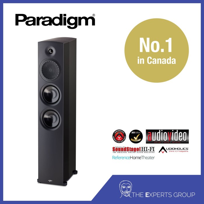 paradigm premier 800