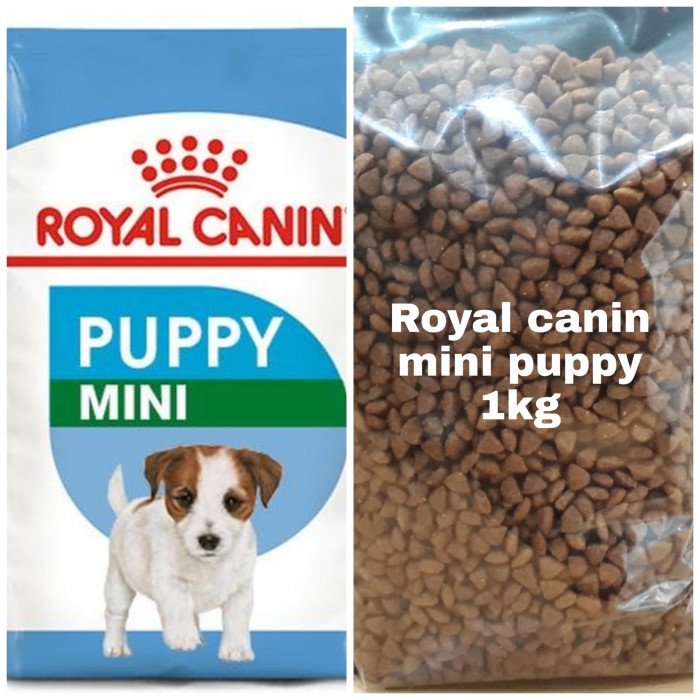 royal canin puppy mini 1kg