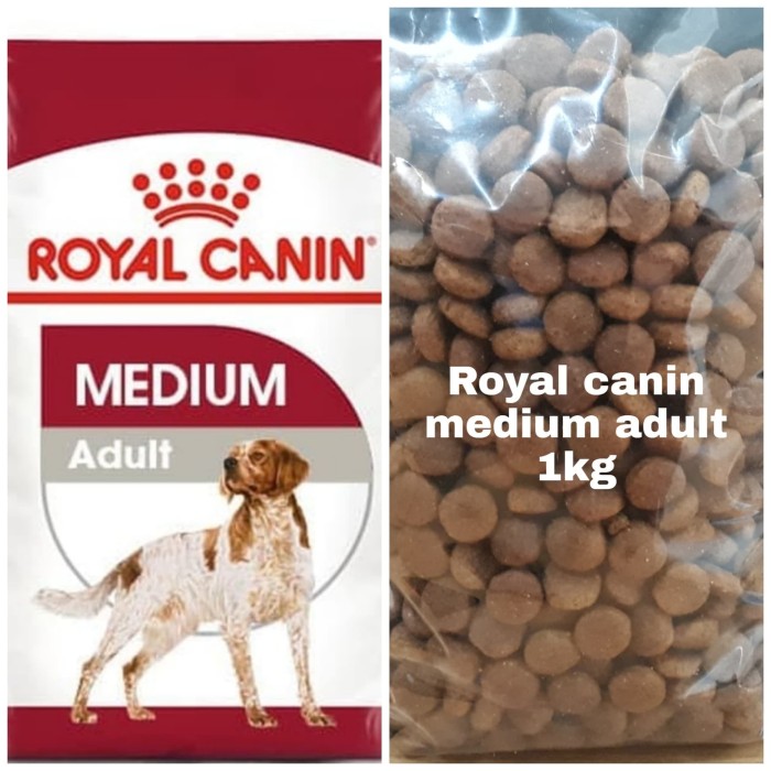 rc medium adult