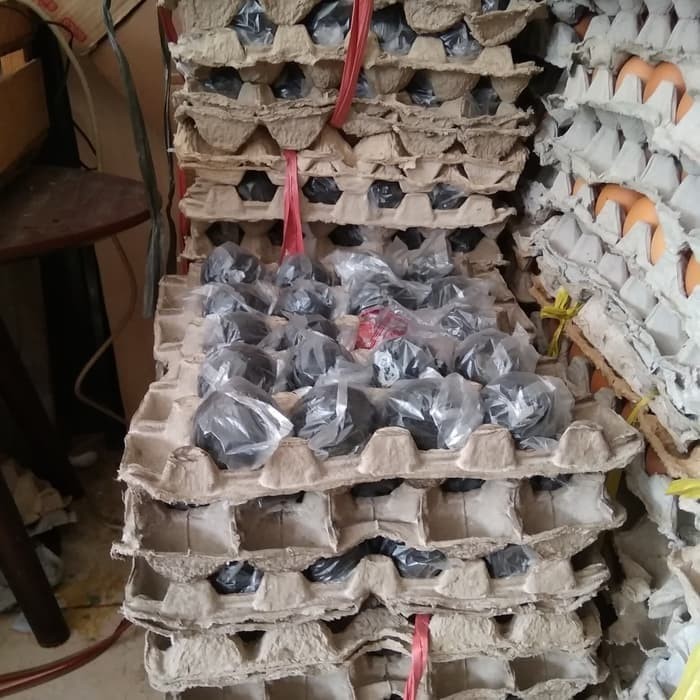 Jual Telur Asin Mentah Telor Asin Mentah Warna kuning Jual Telur Asin Mentah Telor Asin Mentah Warna kuning