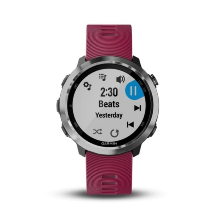 garmin forerunner 645 music triathlon
