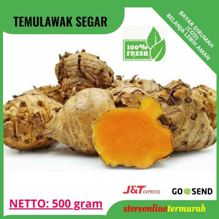 Foto Produk TEMULAWAK (500gram) CURCUMA TEMULAWAK ORIGINAL OBAT HERBAL ANTISEPTIK dari tharoolshop