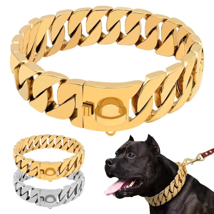 stainless dog collar