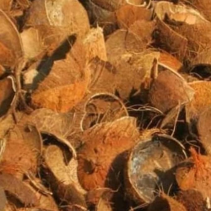 Jual Batok Kelapa Pasar Cacah Jakarta Barat Pambudi Guinandra Tokopedia