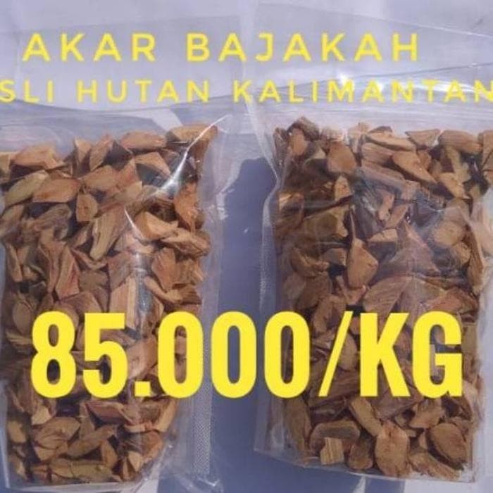  Akar  Bajakan  Dari Kalimantan AKARKUA