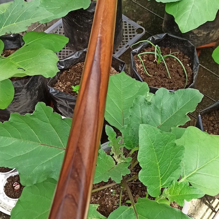 Jual Mainan Pedang Kayu Katana Bokken New Mode Kab Blora Zei Hoo Souvenir Tokopedia