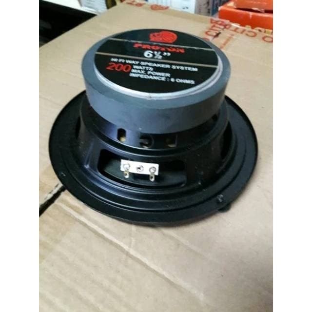 speaker proton 12 inch
