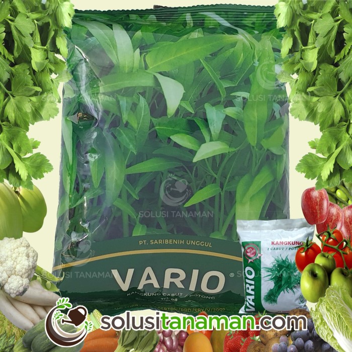 Jual Benih Sayuran Kangkung Vario 1Kg Biji Bibit  Sayur 