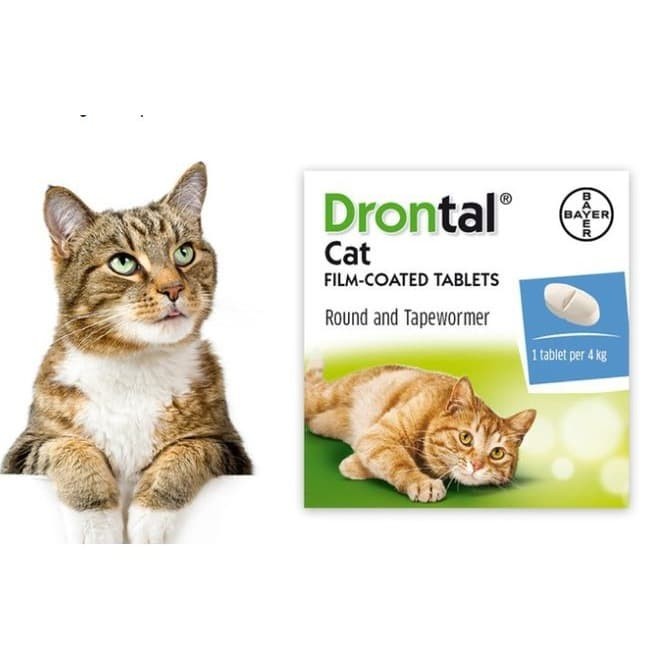 Jual Obat Cacing Kucing Drontal Cat Efektif Basmi Semua Cacing Jakarta Selatan Petnyaku Tokopedia