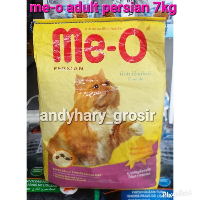 meo persian cat food