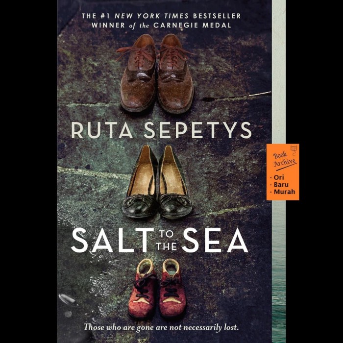 Читать солт. Sea Salt книга. Sepetys Ruta 