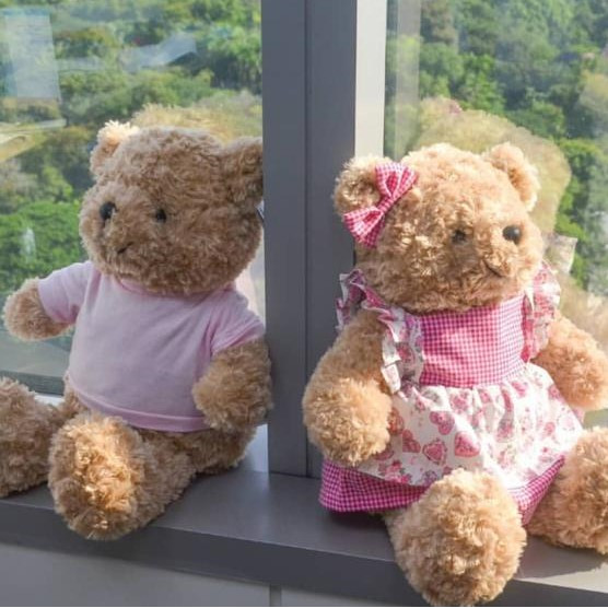 teddy house pim