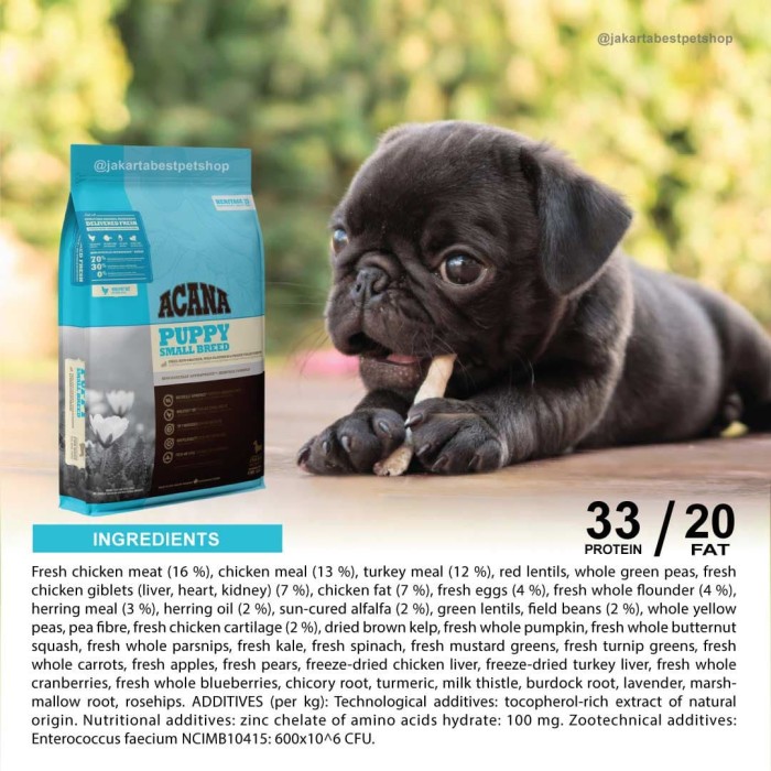 acana small dog food